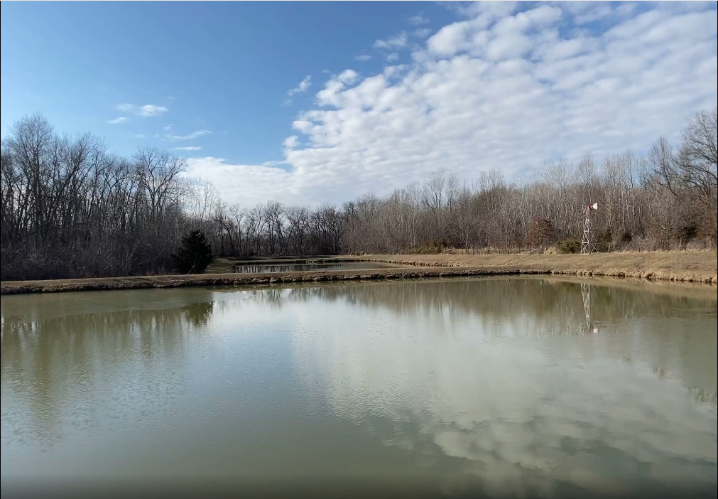 A pond with trees and clouds in the sky.